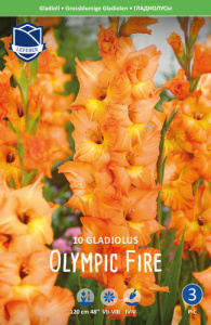 Гладиолус XXL Olympic Flame 14/16 /10шт купить