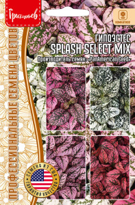 Гипоэстес Сплэш Селект Микс (Splash Select Mix) PanAmerican купить