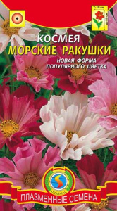 Космея Морские ракушки  купить