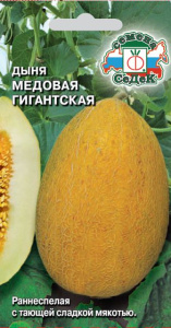 Дыня Медовая гигантская  купить
