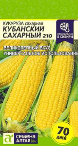 Кукуруза Кубанский сахарный 210