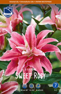 Лилия восточная махровая Sweet Rosy /2шт купить