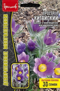 Прострел Китайский  купить