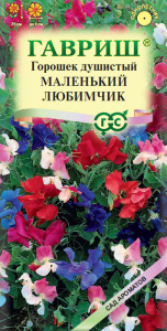 Душистый горошек Маленький Любимчик  купить