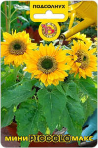 Подсолнух Мини-Макс F1 Пикколо карликовый купить