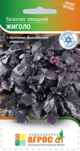 Базилик Жиголо купить