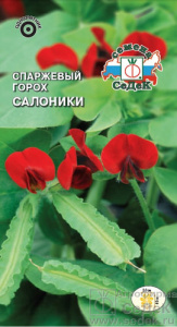 Спаржевый горох Салоники (ярко-красный)  купить