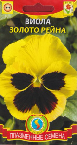Виола Золото Рейна  купить