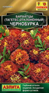 Бархатцы Чернобурка отклоненные купить