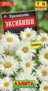 Хризантема Эксибишн  купить