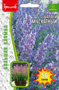 Шалфей Мускатный купить