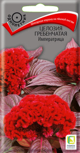 Целозия гребенчатая Императрица купить