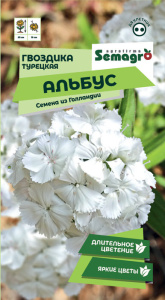 Гвоздика Альбус турецкая купить