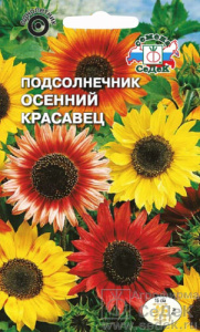 Подсолнечник Осенний красавец  купить