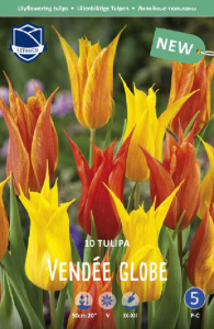 Тюльпан лилецветный "Vendée Globe" (1х10шт) купить