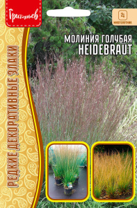 Молиния голубая Heidebraut купить