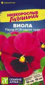 Виола Пауэр Ягодное чудо F1 Низкорослые гиганты