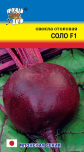 Свекла Соло F1  купить