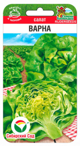 Салат Варна купить