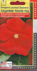 Катарантус розовый (Барвинок) Пацифик Риали Ред  купить