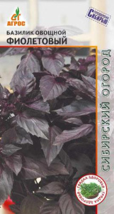 Базилик Фиолетовый  купить