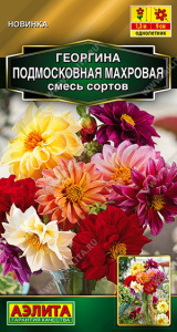 Георгина Подмосковная махровая, смесь сортов купить