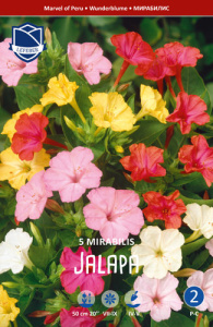 Мирабилис jalapa смесь /5шт купить
