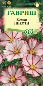 Космея Пикоти  купить