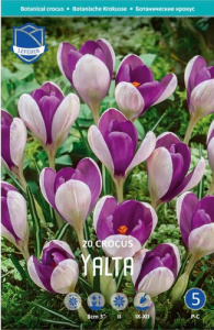 Крокус Ялта /20шт купить
