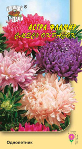 Астра Фламир, смесь  купить