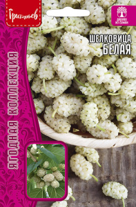 Шелковица (тутовник) Белая купить