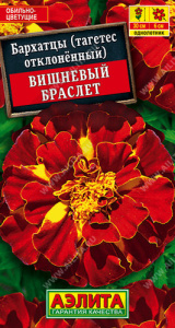 Бархатцы Вишневый браслет отклоненные купить