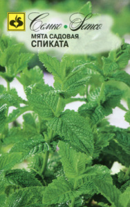 Мята садовая Спиката  купить