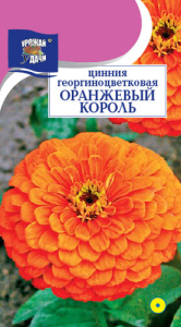 Цинния Оранжевый король георгиноцветковая  купить