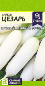 Дайкон Цезарь  купить