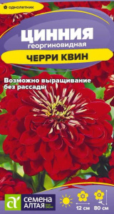 Цинния Черри Квин  купить