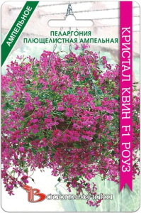 Пеларгония плющелистная ампельная Кристал Квин F1 Роуз купить