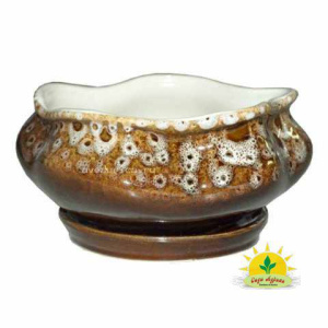 Горшок Виола с поддон. купить