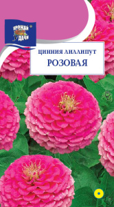 Цинния лиллипут Розовая  купить