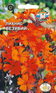 Лихнис Везувий  купить