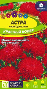 Астра Ковер Красный низкорослая купить