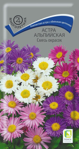 Астра альпийская, смесь  купить