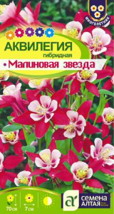 Аквилегия Малиновая Звезда гибридная   купить