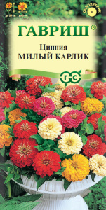 Цинния Милый карлик смесь  купить