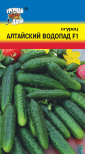 Огурец Алтайский Водопад F1 купить
