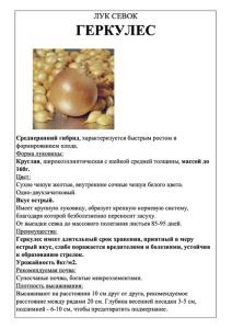 Лук Геркулес фото А5 купить
