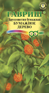 Бруссонетия Бумажное Дерево купить