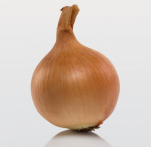 Лук севок Штур БС-20 (Гол) 1кг купить