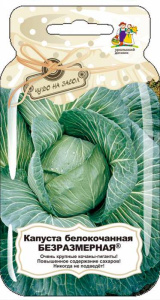 Капуста Безразмерная Банка купить