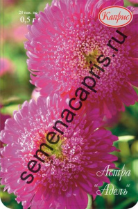 Астра Адель/1шт купить